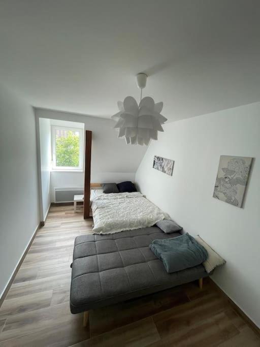 Studio Cosy Esplanade