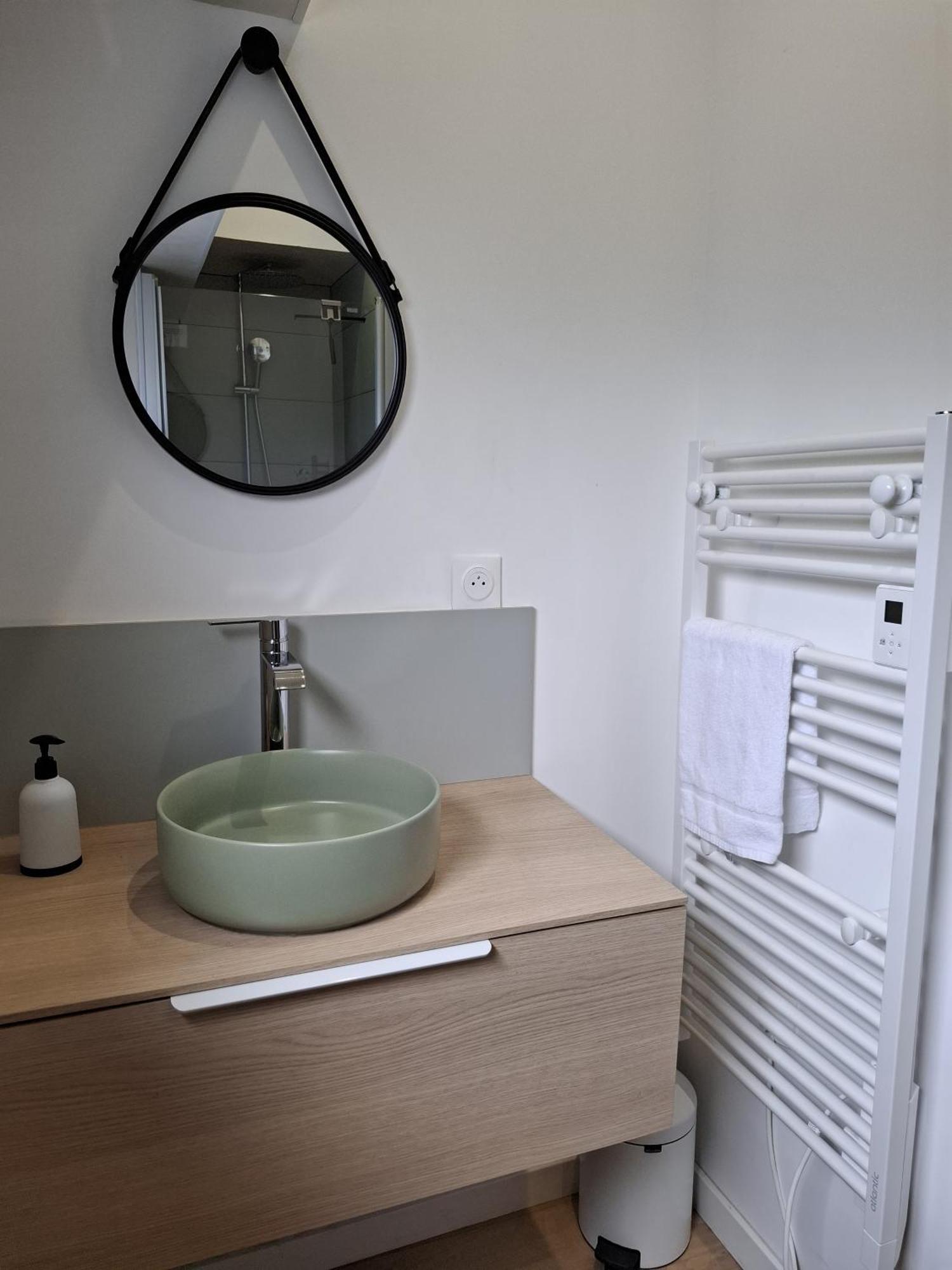 La Peniche De Fabrice Avec Jacuzzi Privatif Strasbourg