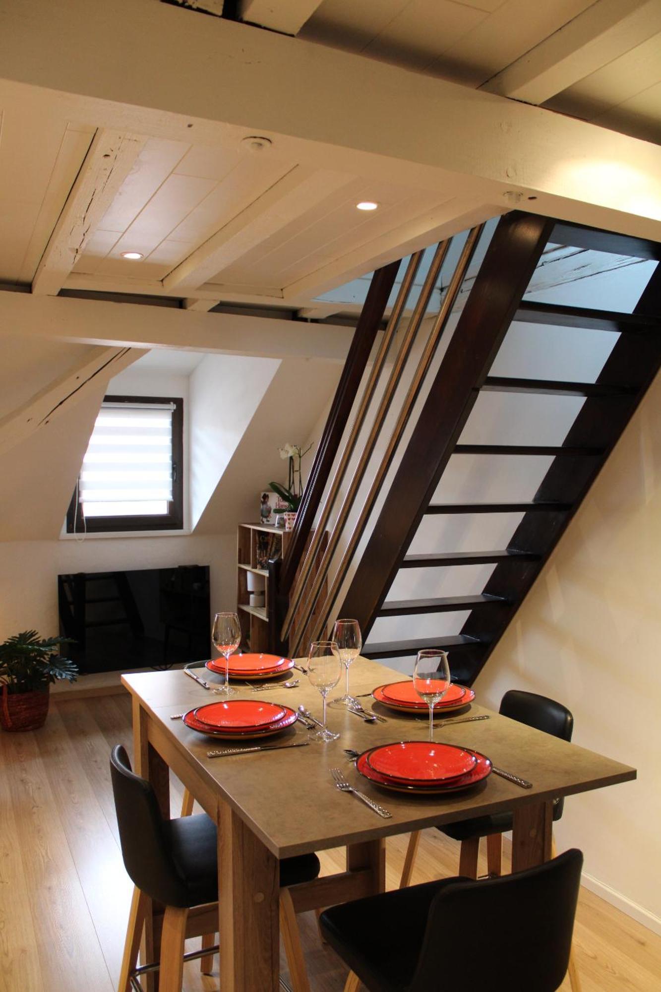 Duplex Privatise, Climatise, 2 Apartament Strasburg
