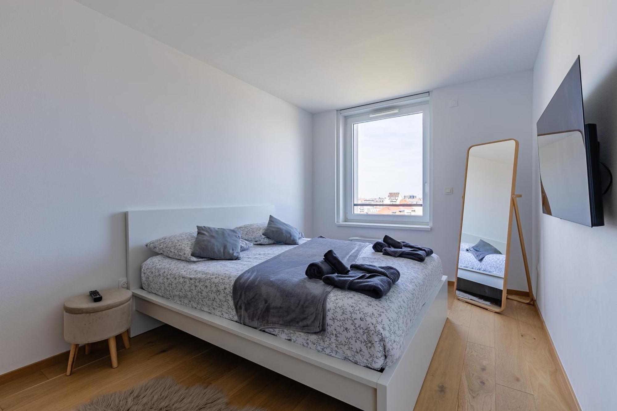 Magnifique 2 Pieces Centre Apartment