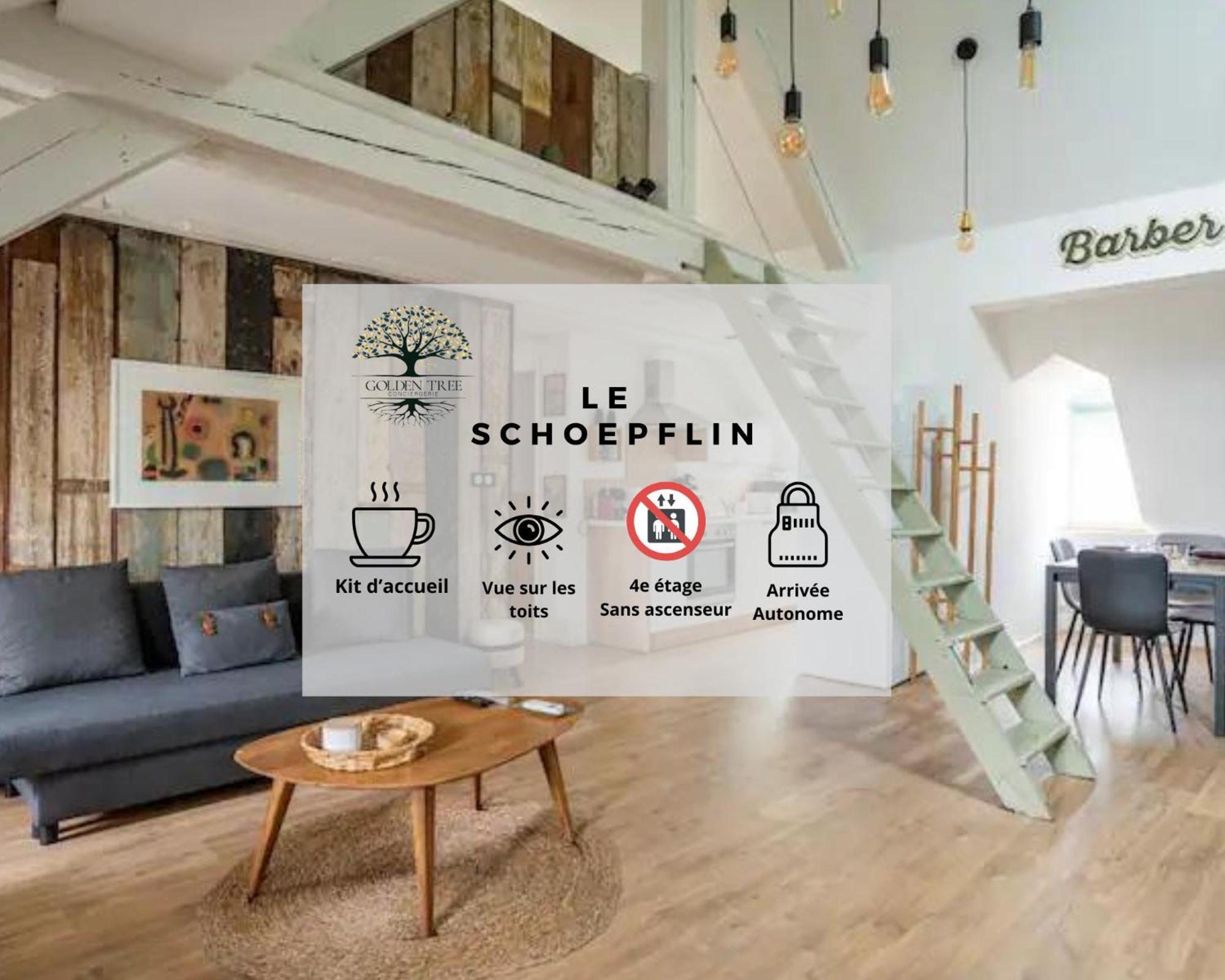 Le Schoepflin - Coeur De - Vue Toits Apartment