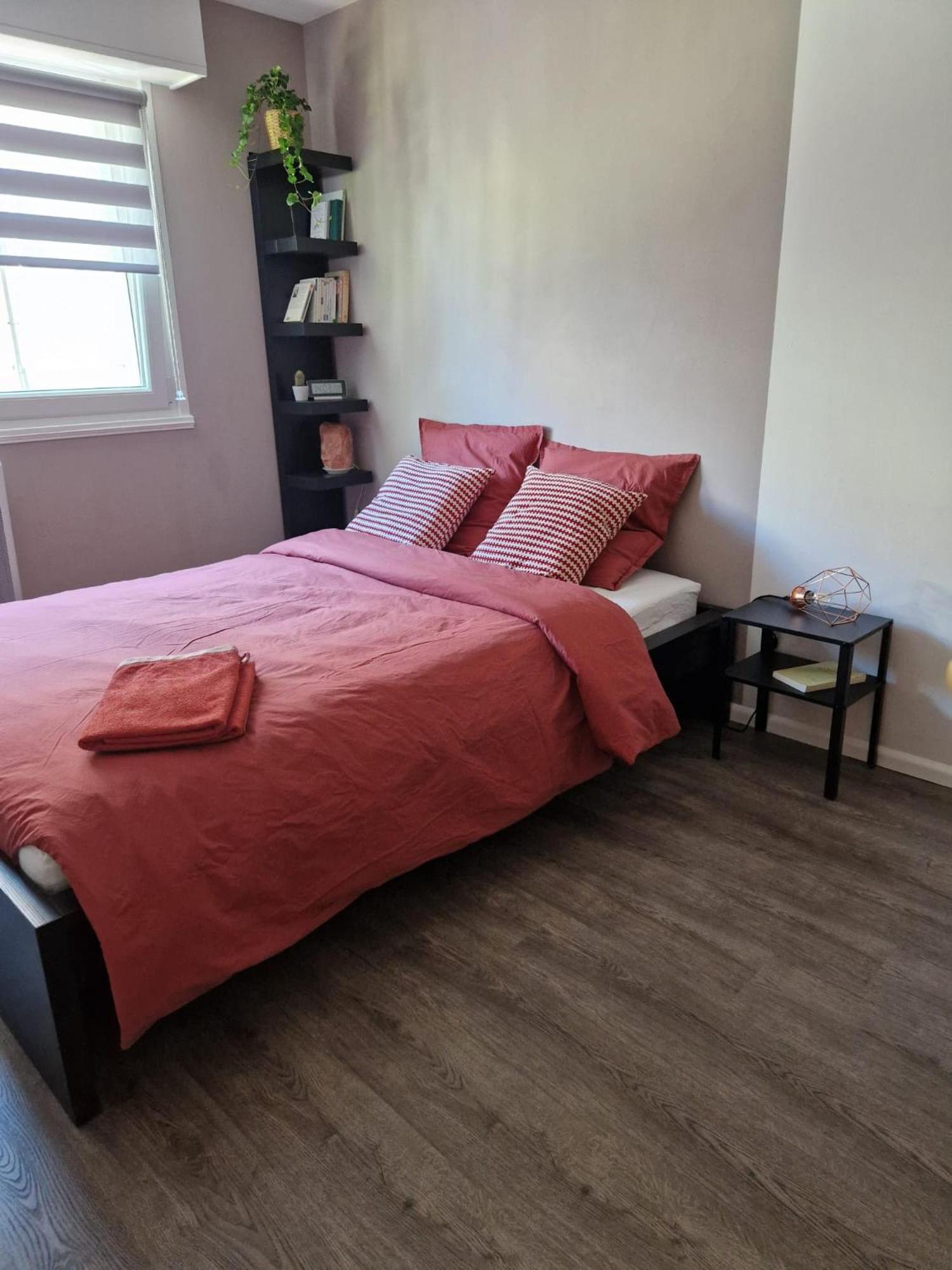 Robertsau Tres Bel Appartement