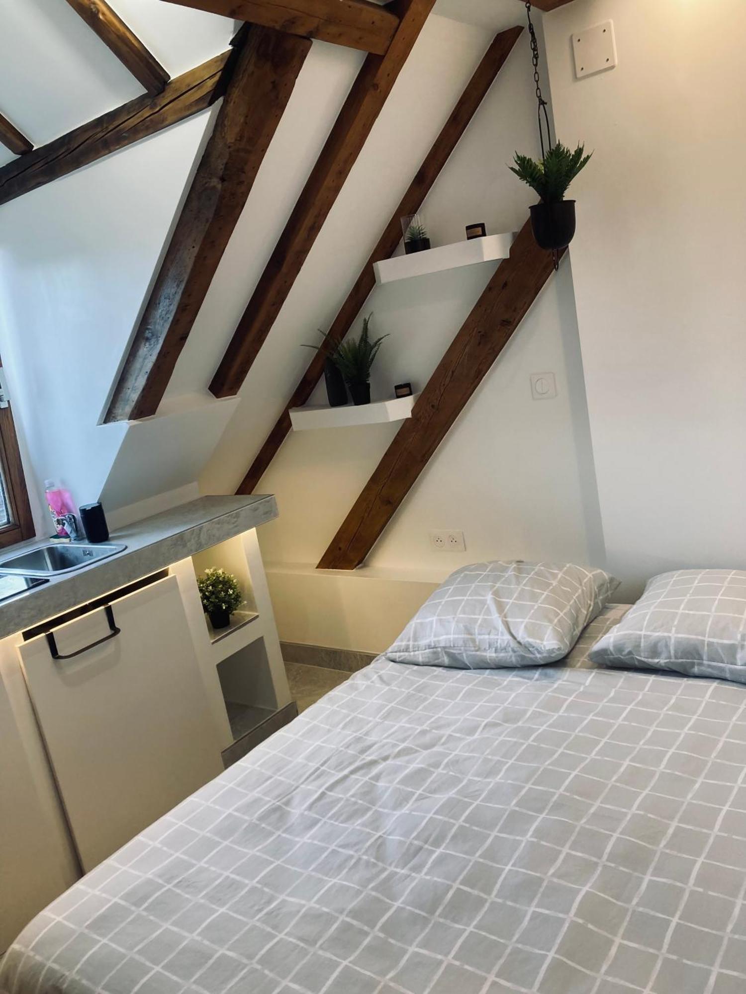 Apartment Petit Nid Sympa A Strasbourg