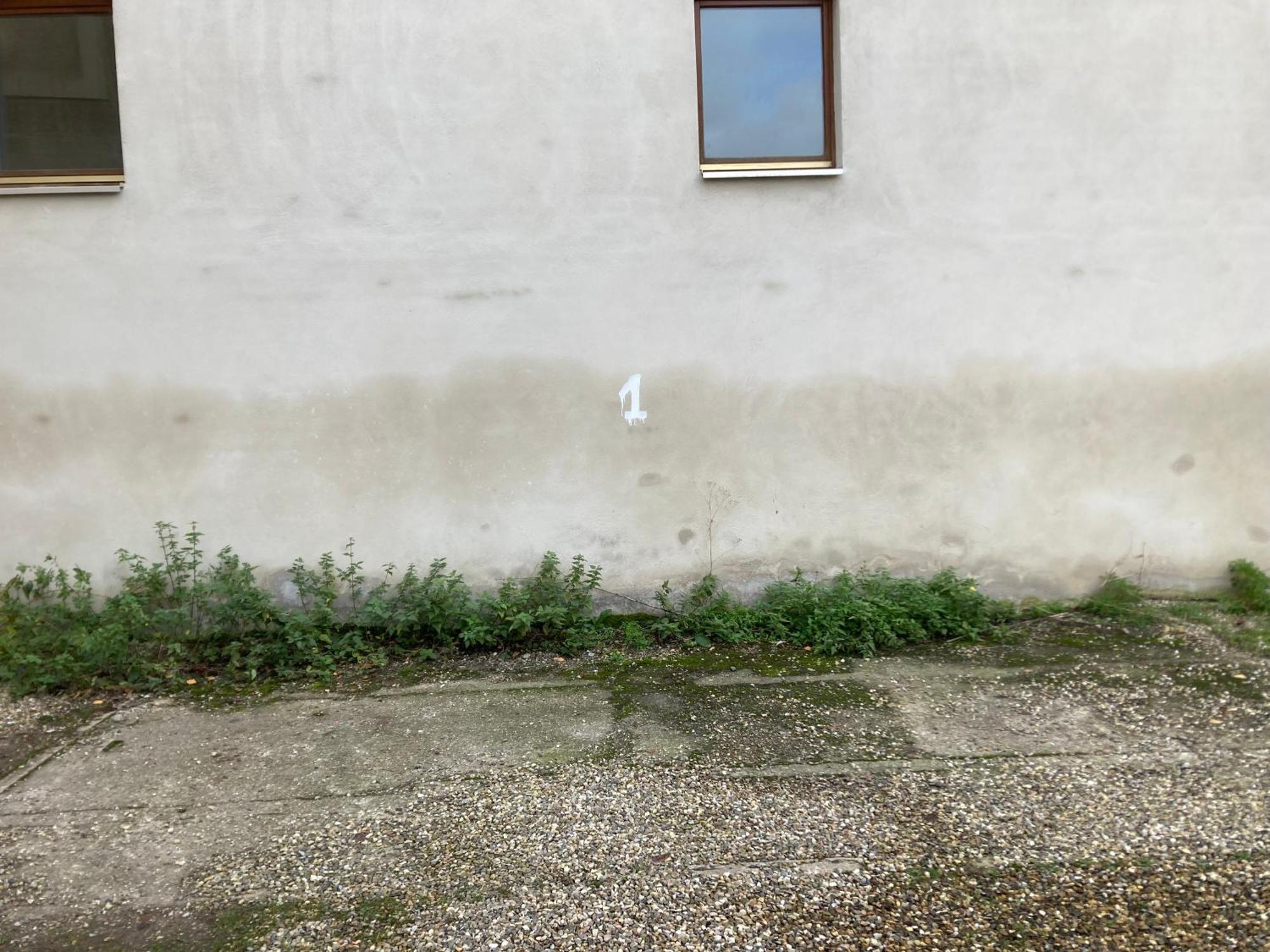 Suzanne * Straßburg