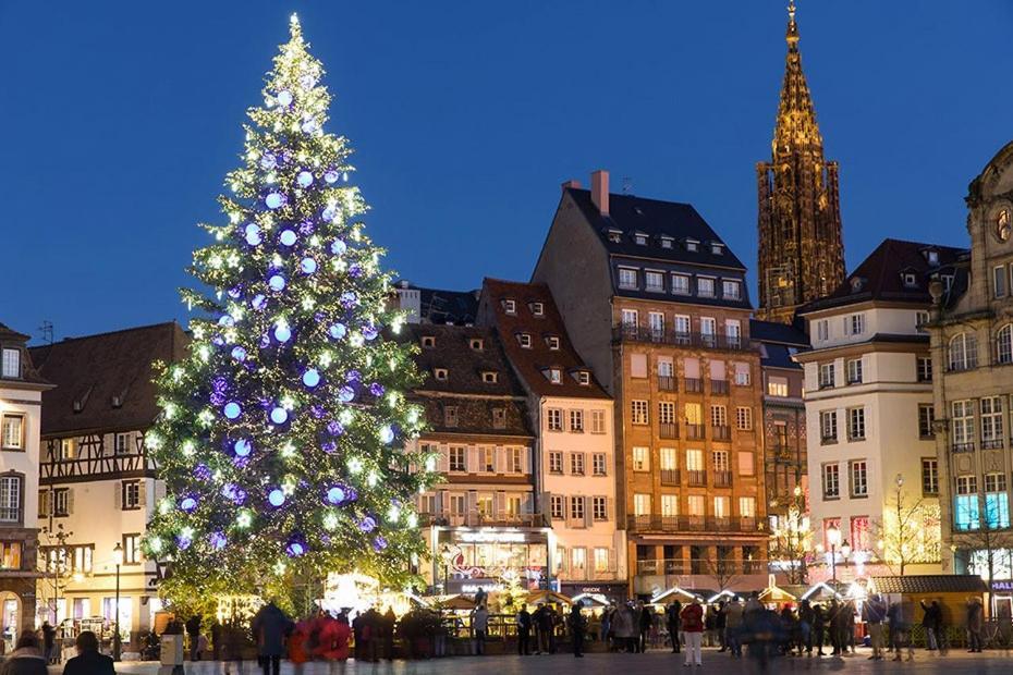 La Tour De L'ill Vakantiehuis Straatsburg