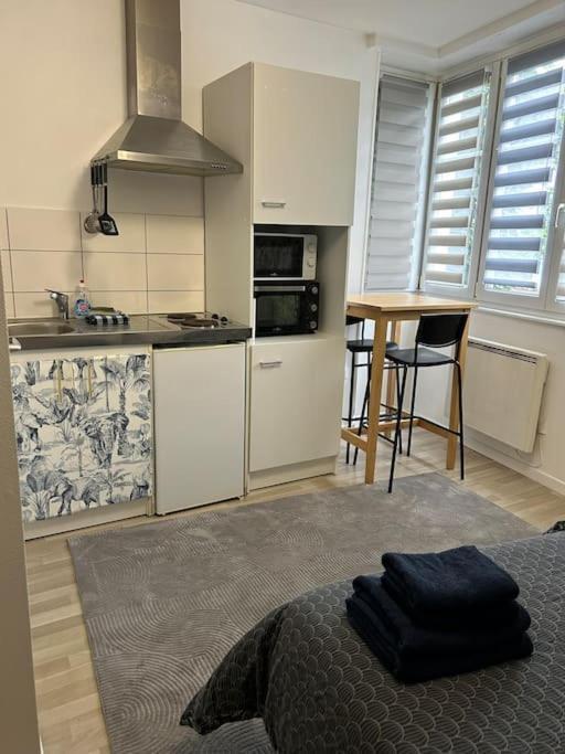 Proche Du Centre-ville Apartment Straßburg