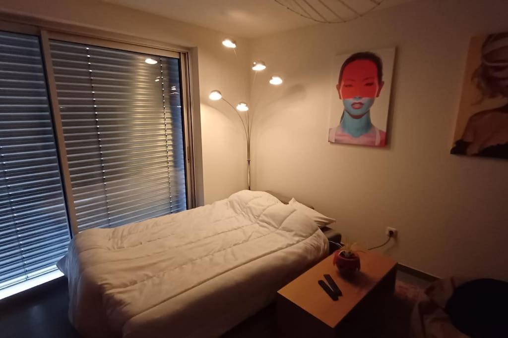 Centre En 15 Minutes Apartment Strasbourg