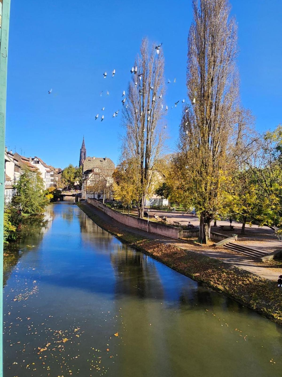 Apartament La Petite Alsacienne Strasburg