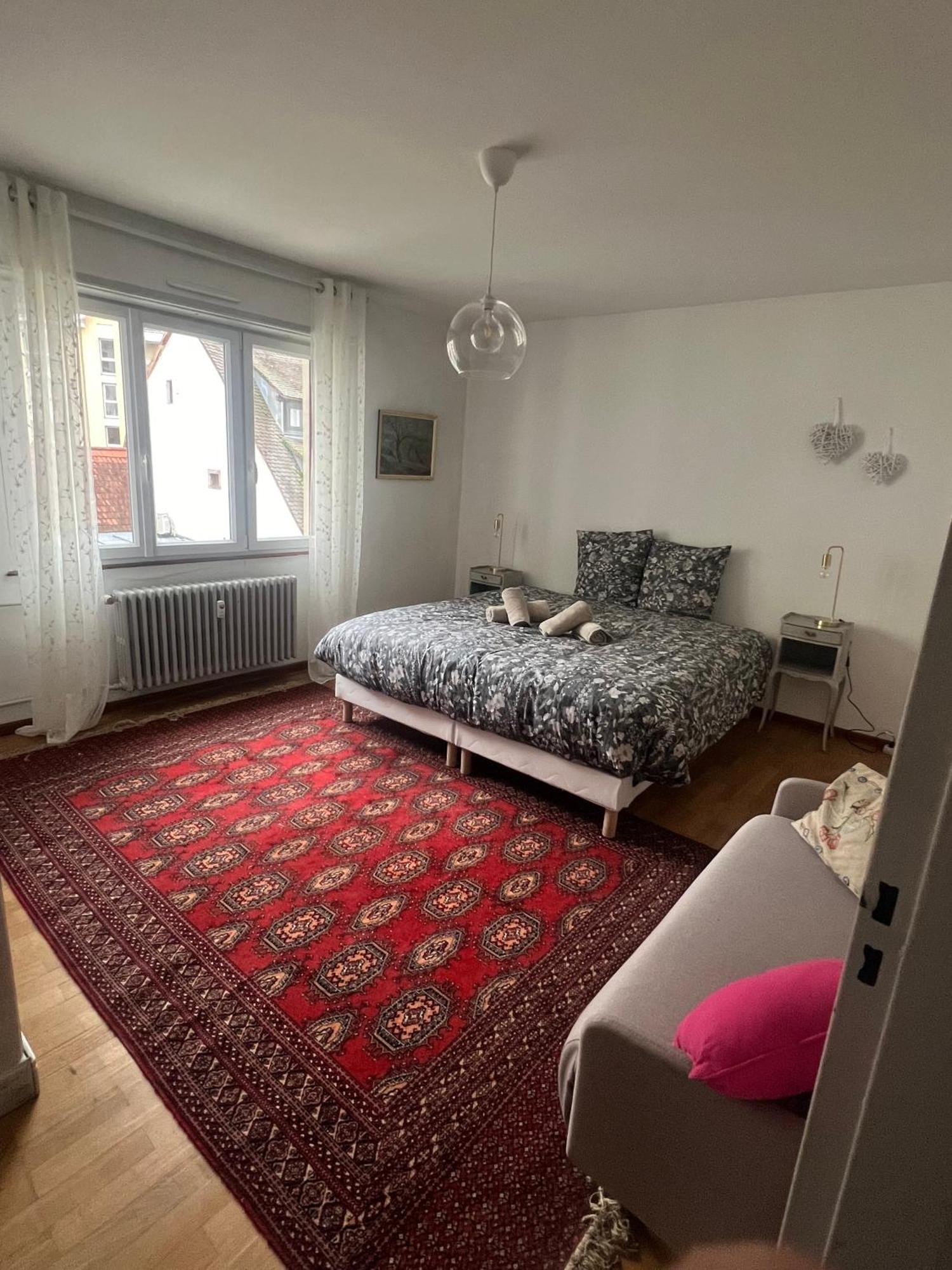 Appartement Spacieux 2 Pieces Hypercentre Straatsburg