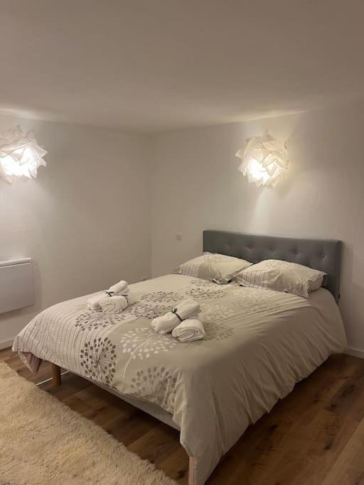 Apartment 2 Pieces Moderne Et Cosy A Straßburg
