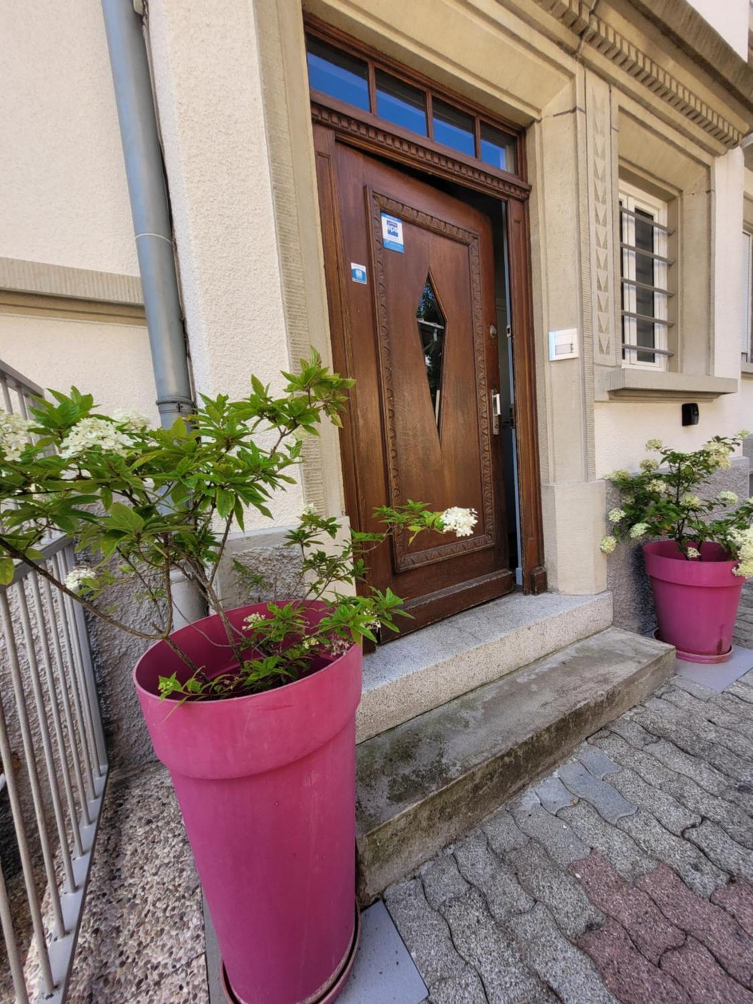 Appartement Le Cocon D'emma, Bourgeois Avec Terrasse, Jardin Et Parking Dans Maison De Maitre Straatsburg