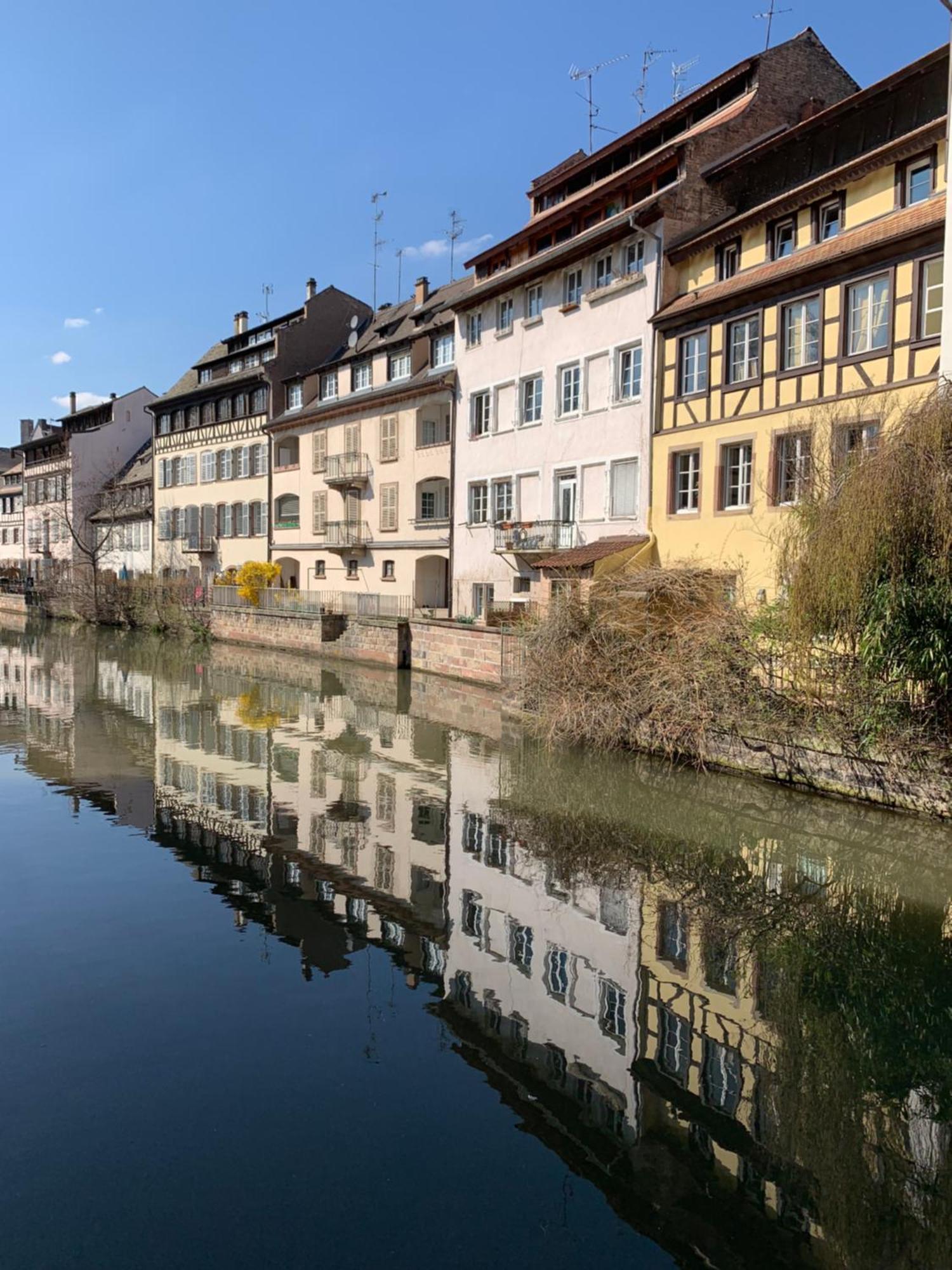 Cosy Centre Daire Strazburg