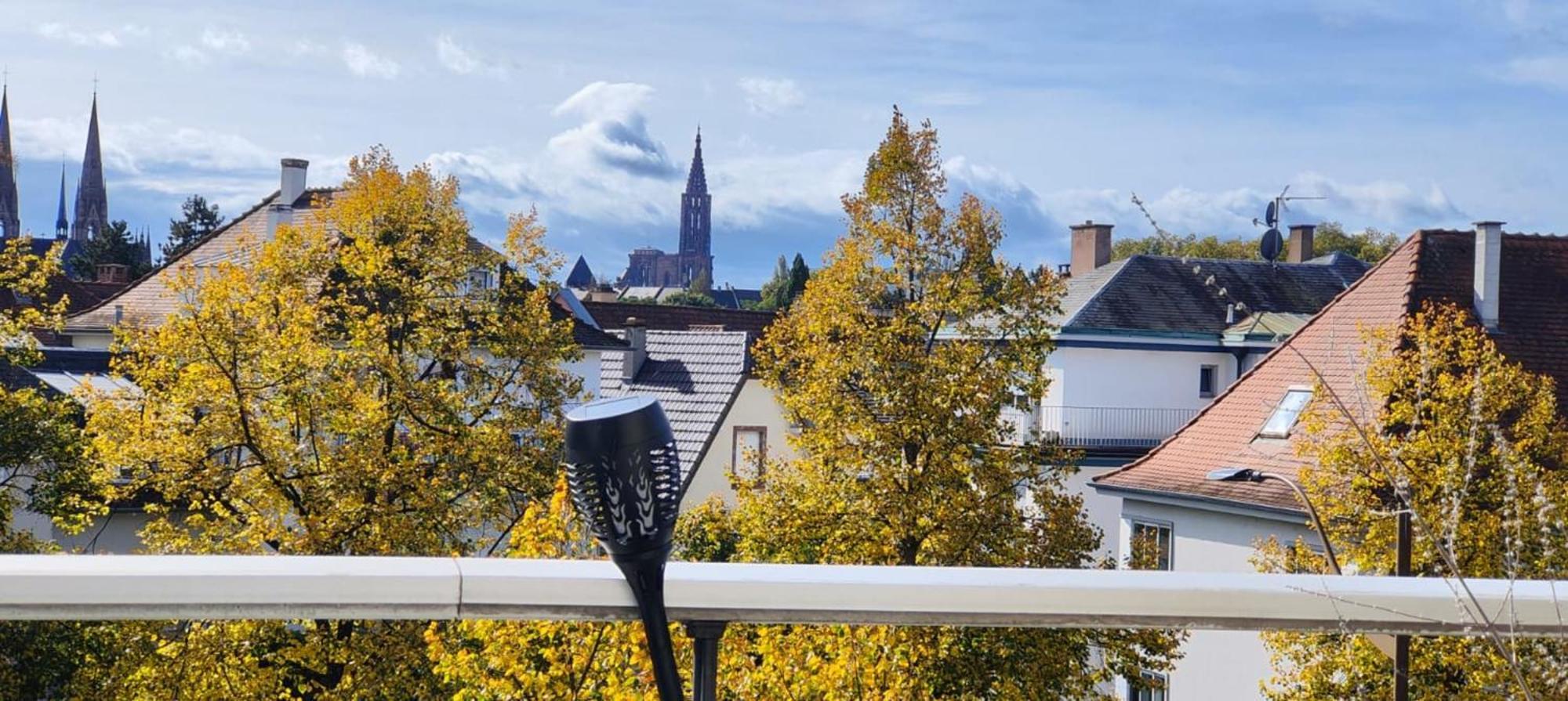 Spacious Flat With Terrace And Cathedral View Apartment Straßburg