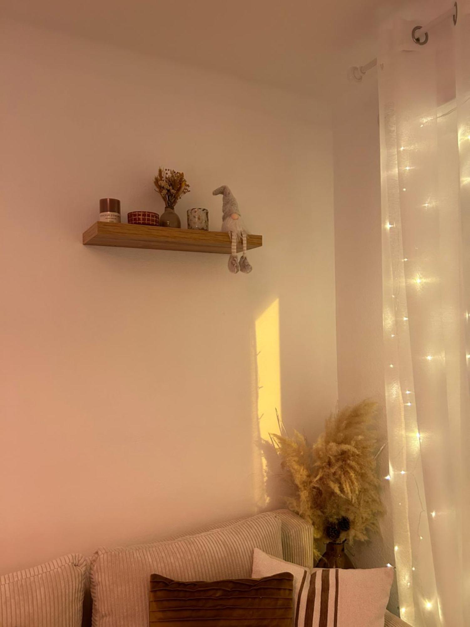 Daire Cosy Centre Strazburg