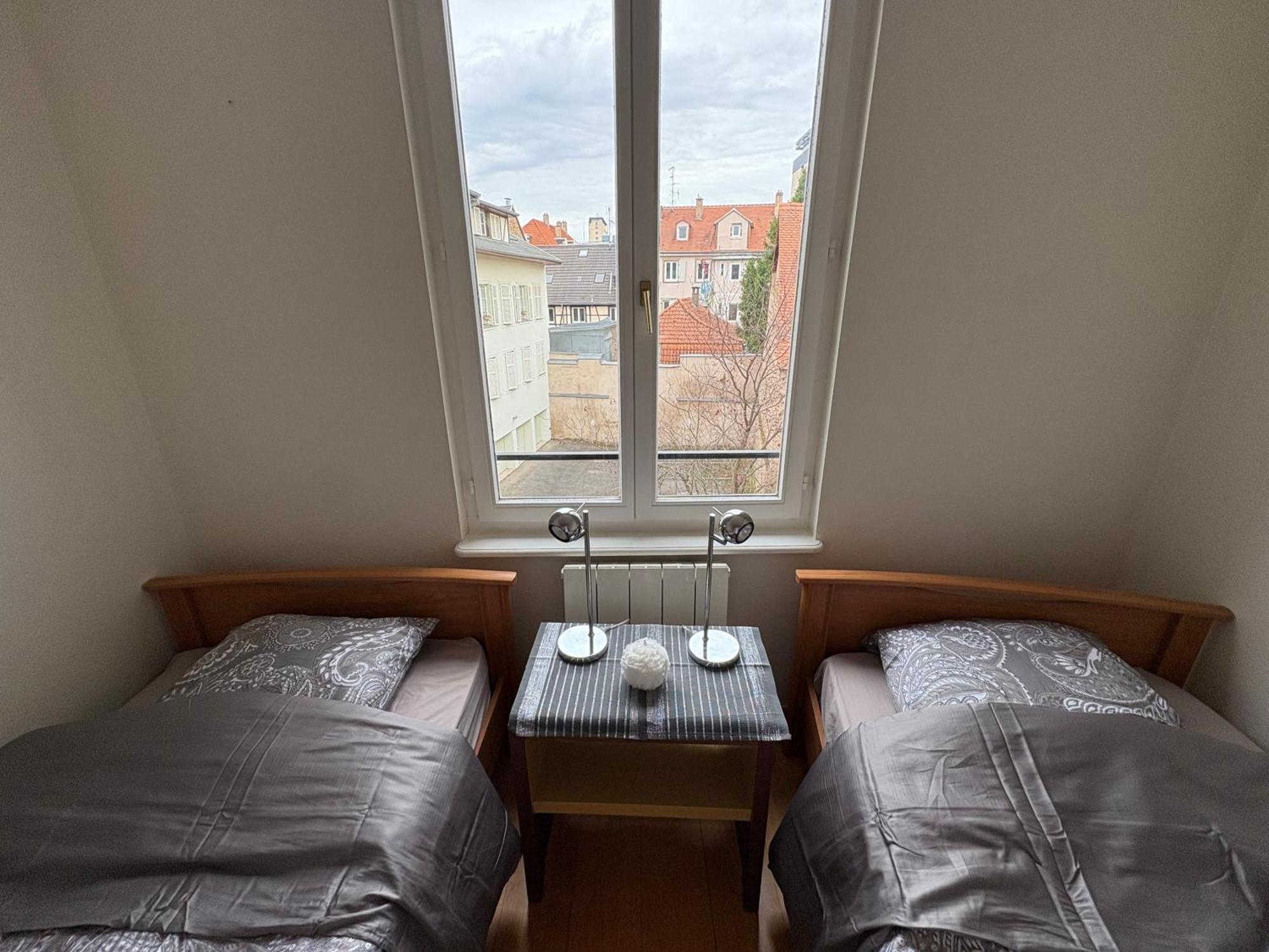 Appartement 3p 57 M2 Le Coeur De La Krutenau