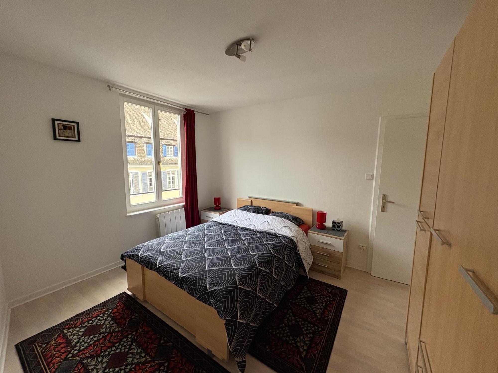 Appartement 3p 57 M2 Le Coeur De La Krutenau