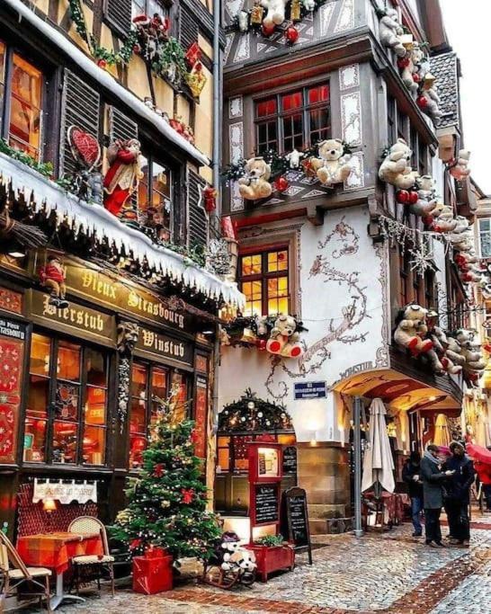 Cosy Au Centre-ville * Strasburg