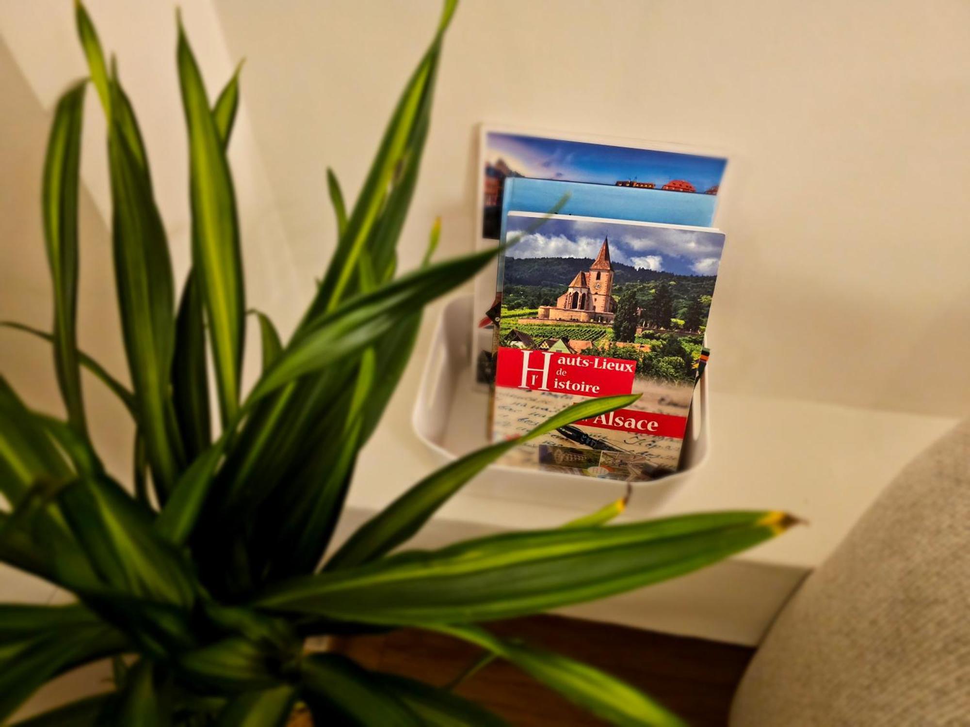 Apartment Confort Proche Gare Et Centre-ville Straßburg