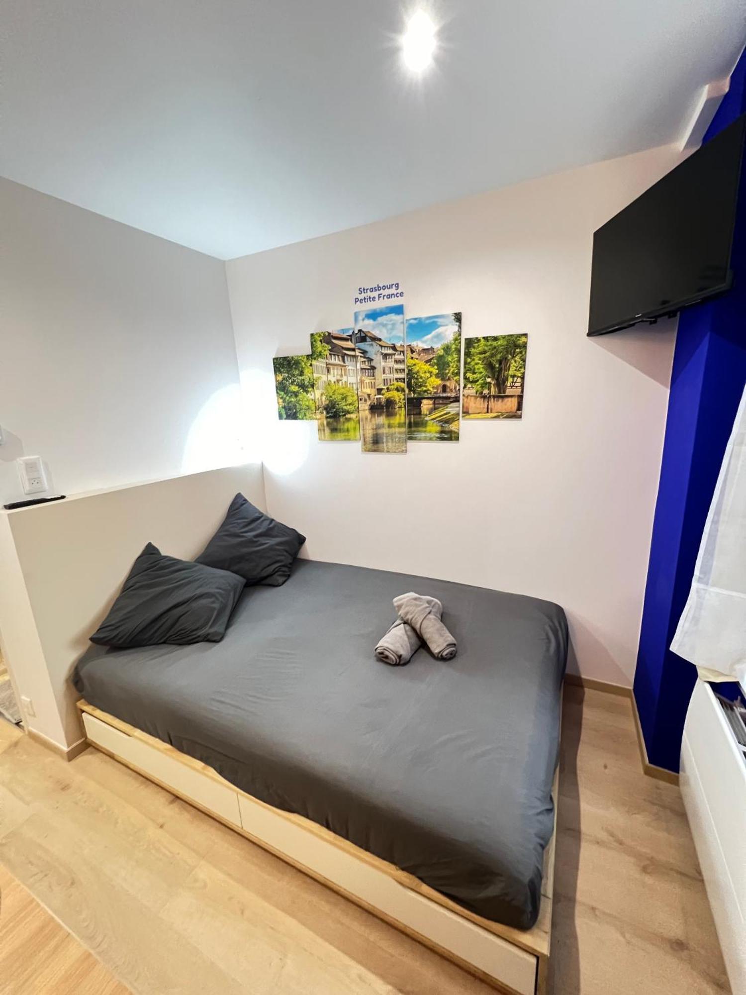 1 - Gare - Petite France - Commerces A Proximite Strasbourg