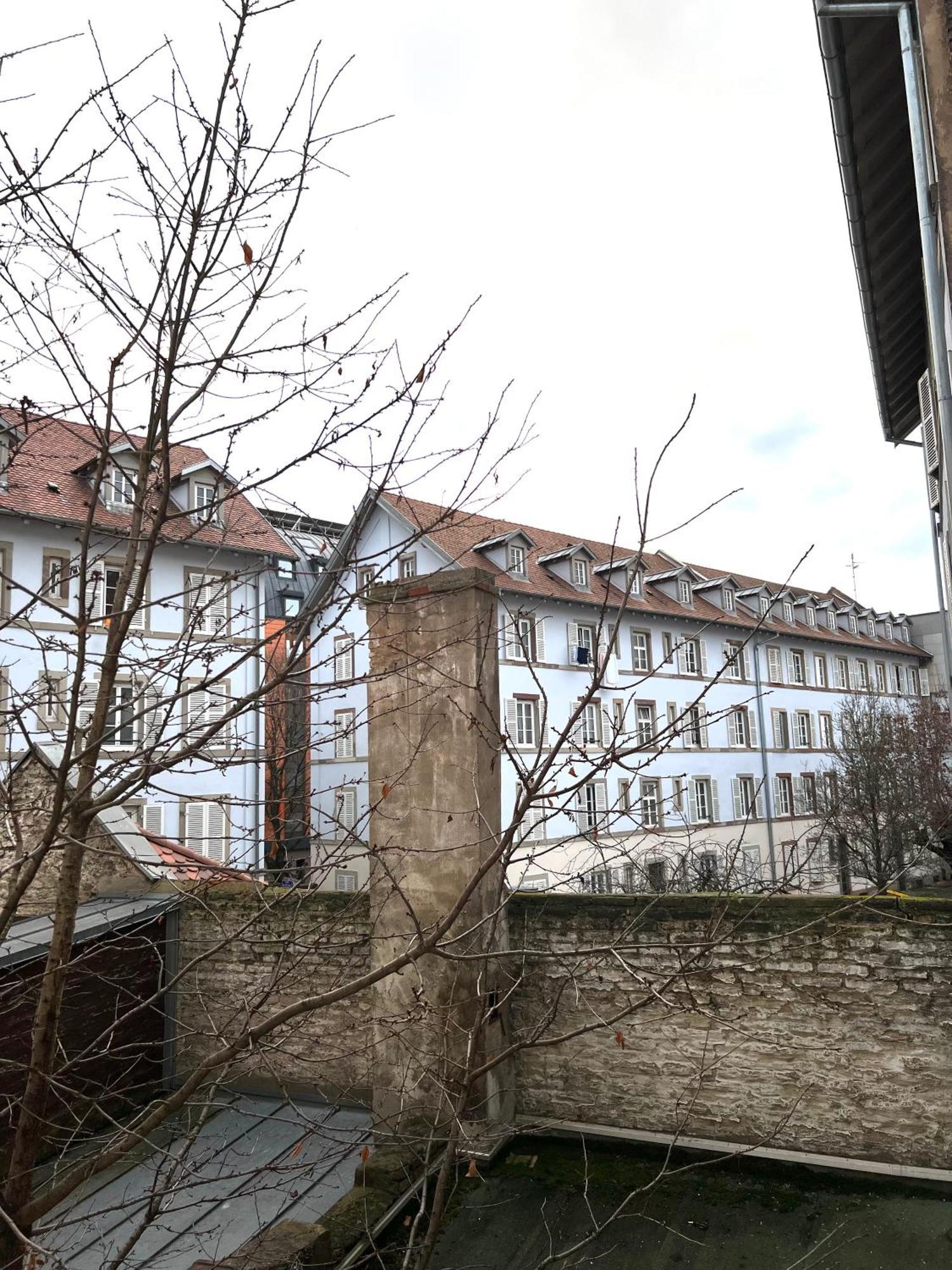 1 - Gare - Petite France - Commerces A Proximite Apartment *