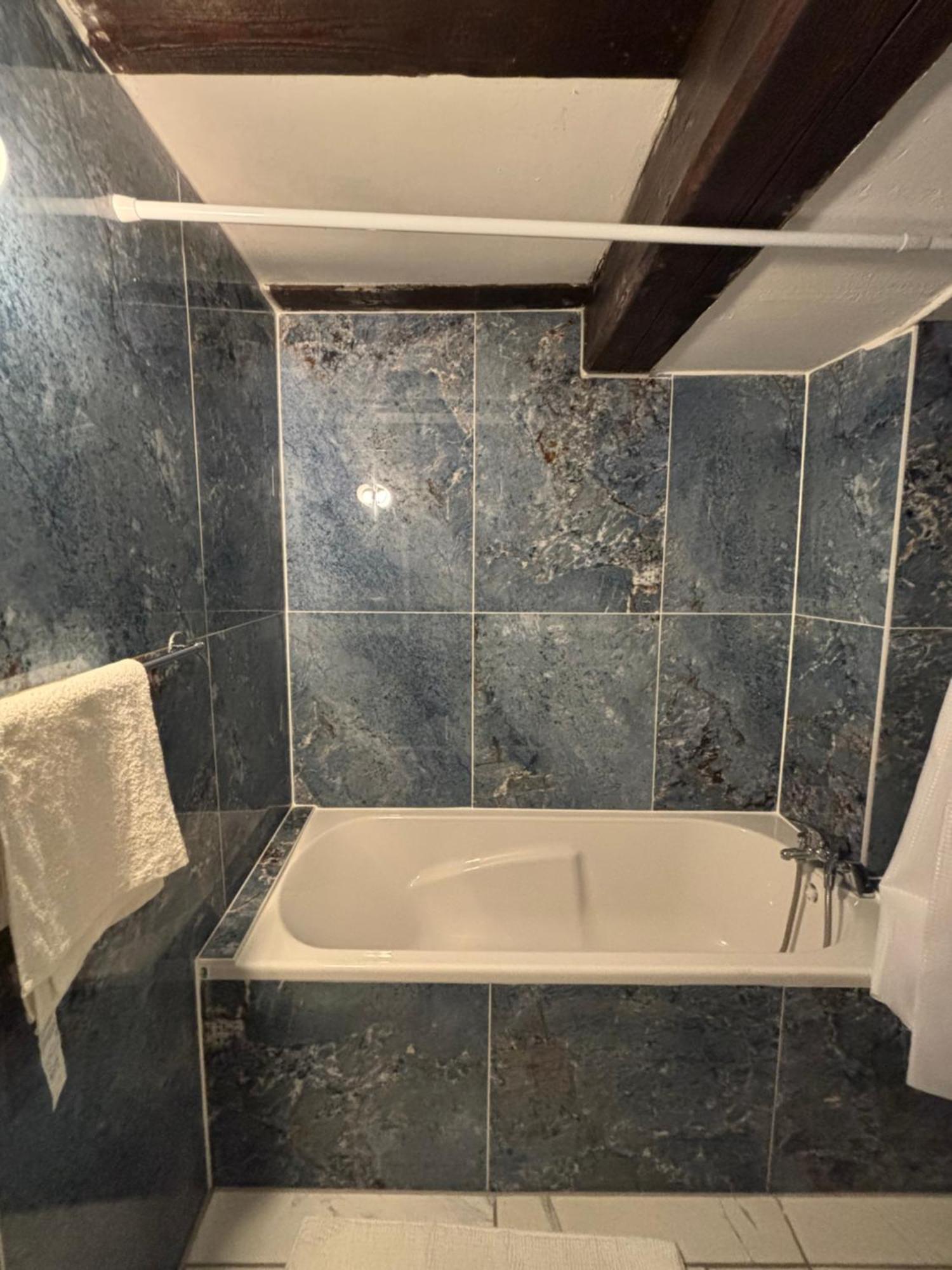 Le Grand T2 Apartament Strasburg