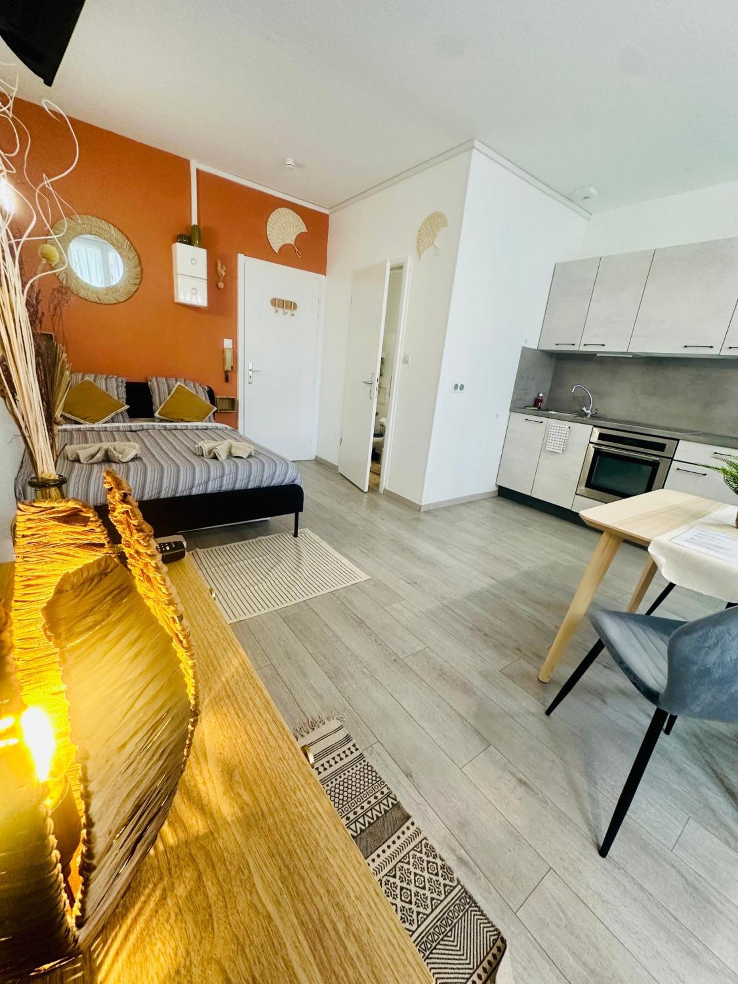Appartement Studio, Gare, Petite France, Hypercentre
