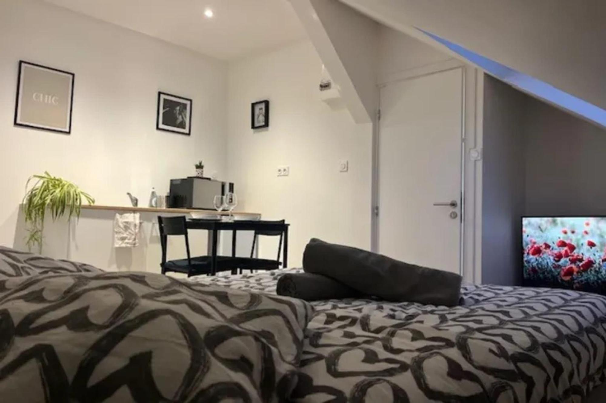 Tatil Evi Cosy Rent Studio 3 Tv-wifi Proche Gare Strazburg
