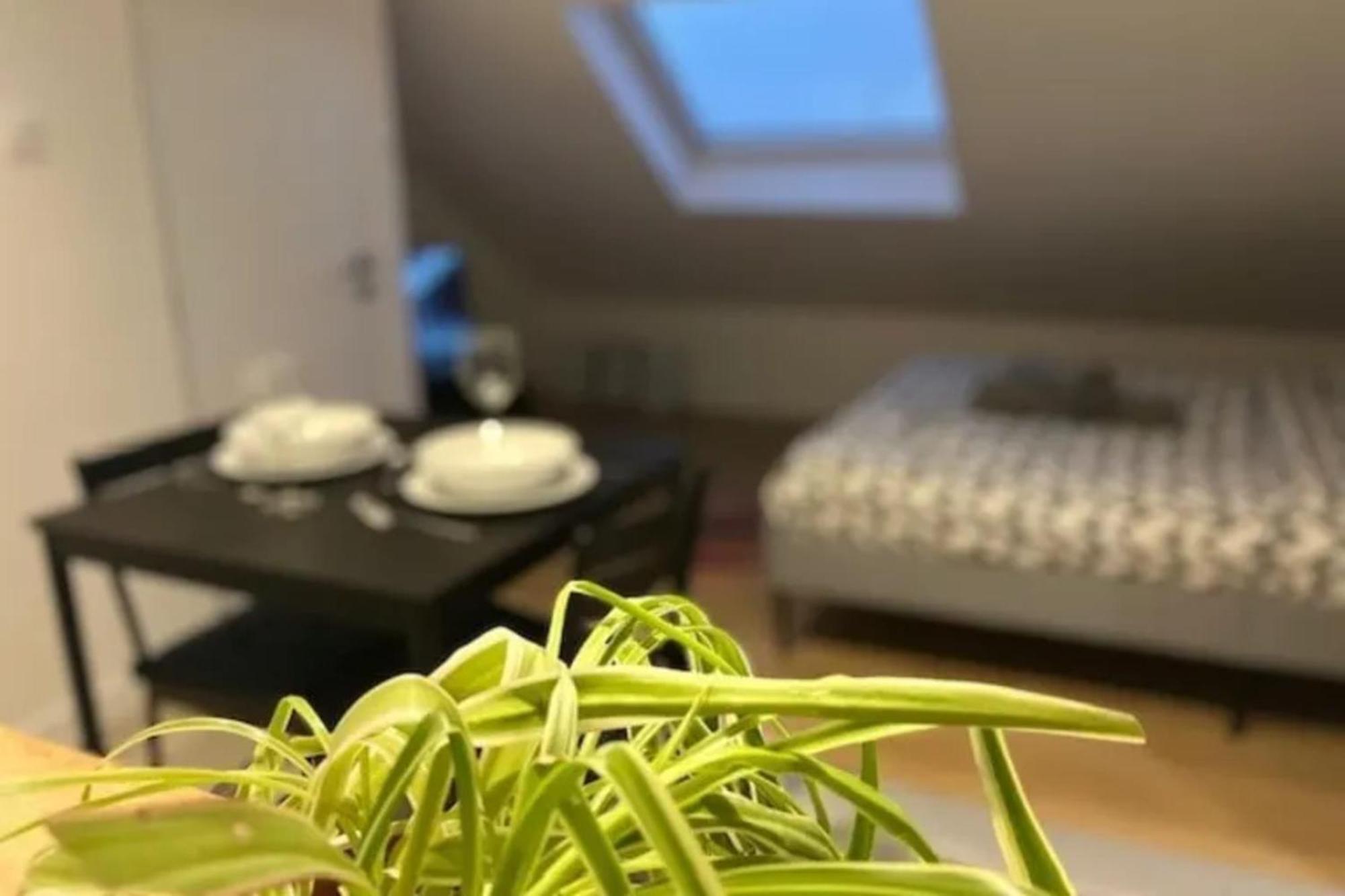 Tatil Evi Cosy Rent Studio 3 Tv-wifi Proche Gare Strazburg