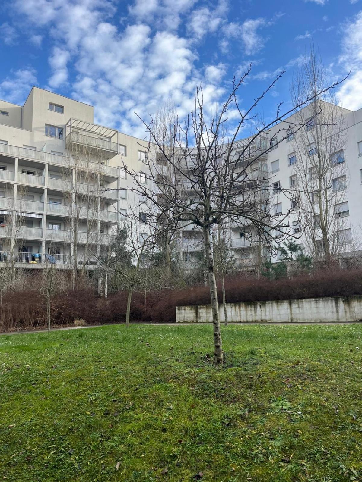 Cozy Near Tram - Center Apartment *