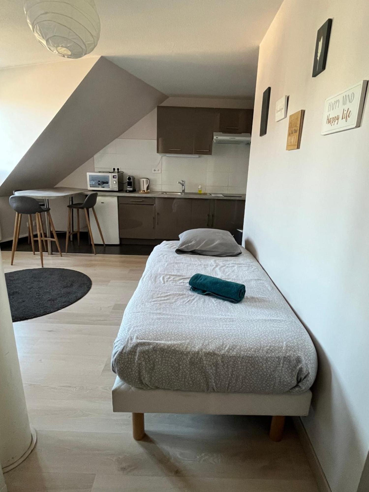 Centre Apartment Straßburg
