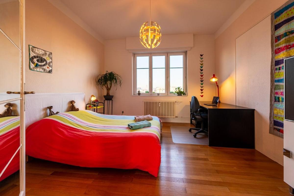 Large In Appartement Strasbourg