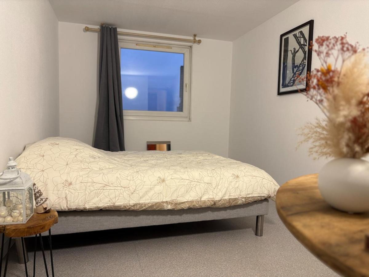 Apartament Proche Tram Strasburg