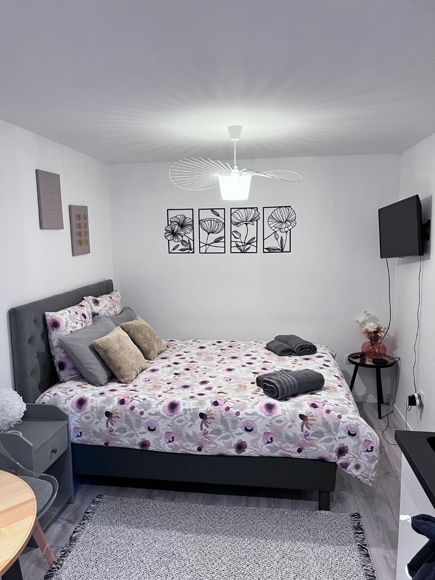 Le Patcho Confortable & Chaleureux , Idealement Situe Proche Centre Quartier Neustadt Tribunal, Contades