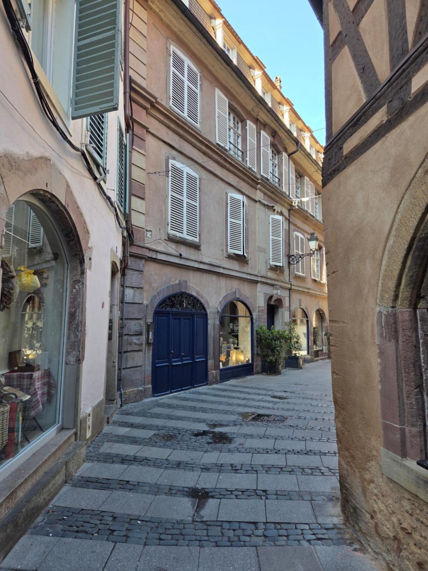 Nid Douillet Au Calme, A 2 Pas De La Cathedrale * Strasbourg