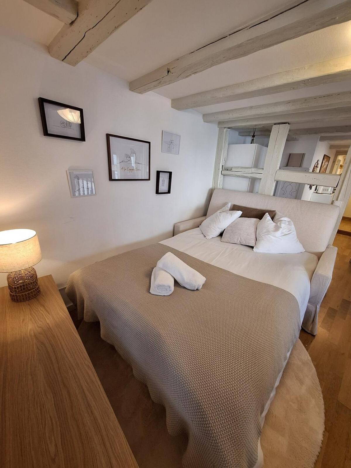 Cigogne Doree - Centre Historique Apartment Strasbourg