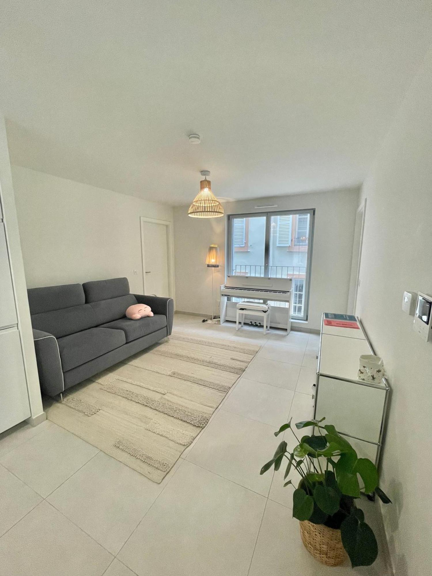 Appartement Neuf Entier Petite France