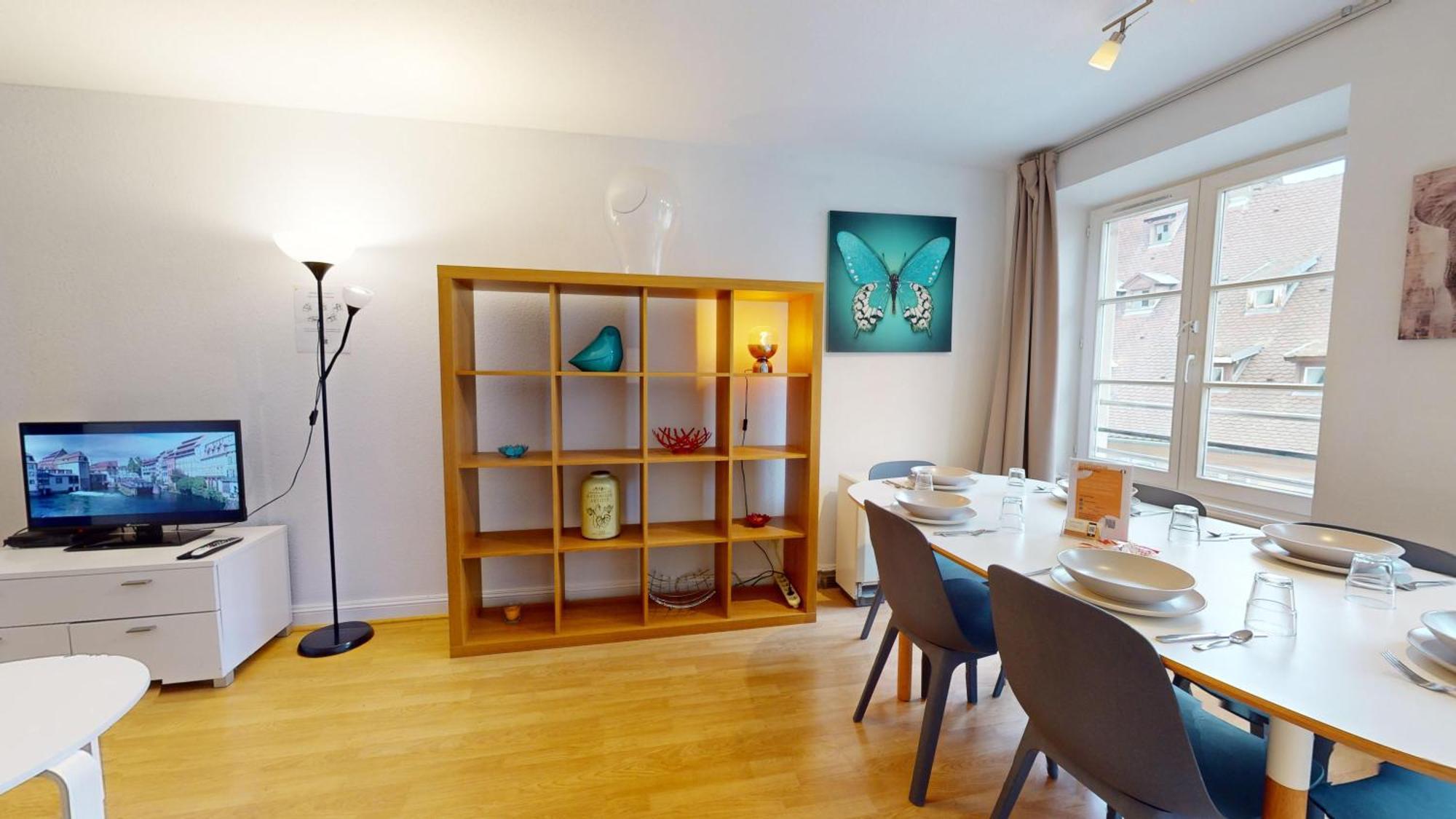 70 M² Center Apartment Strasbourg