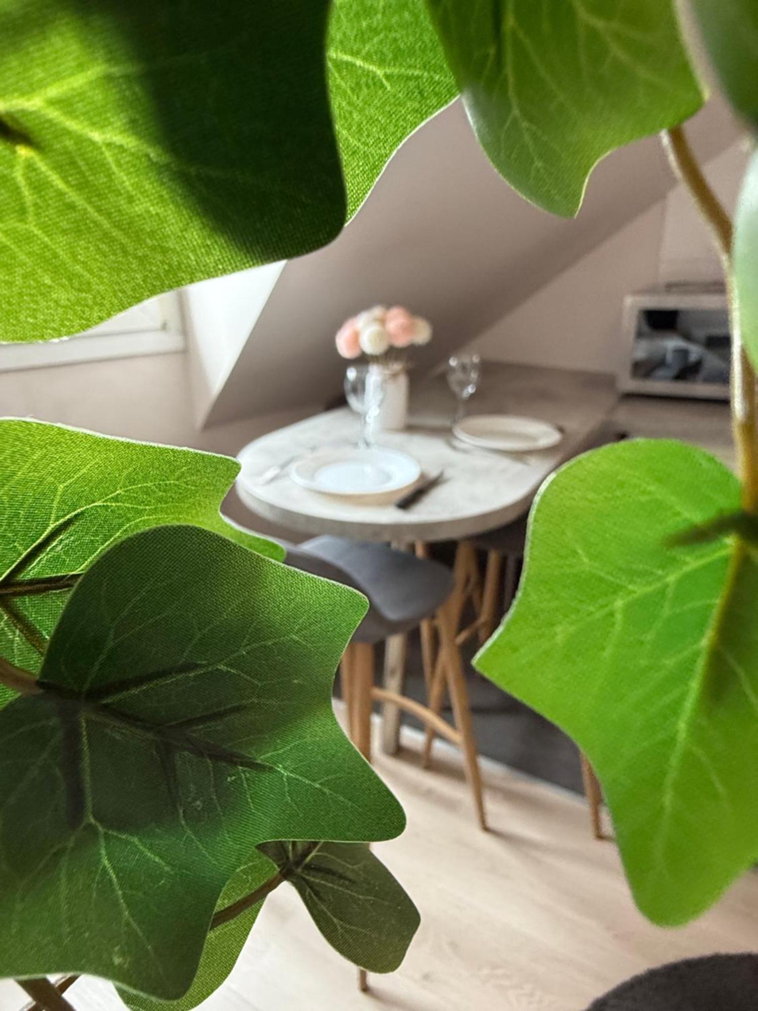 Centre Apartment Straßburg