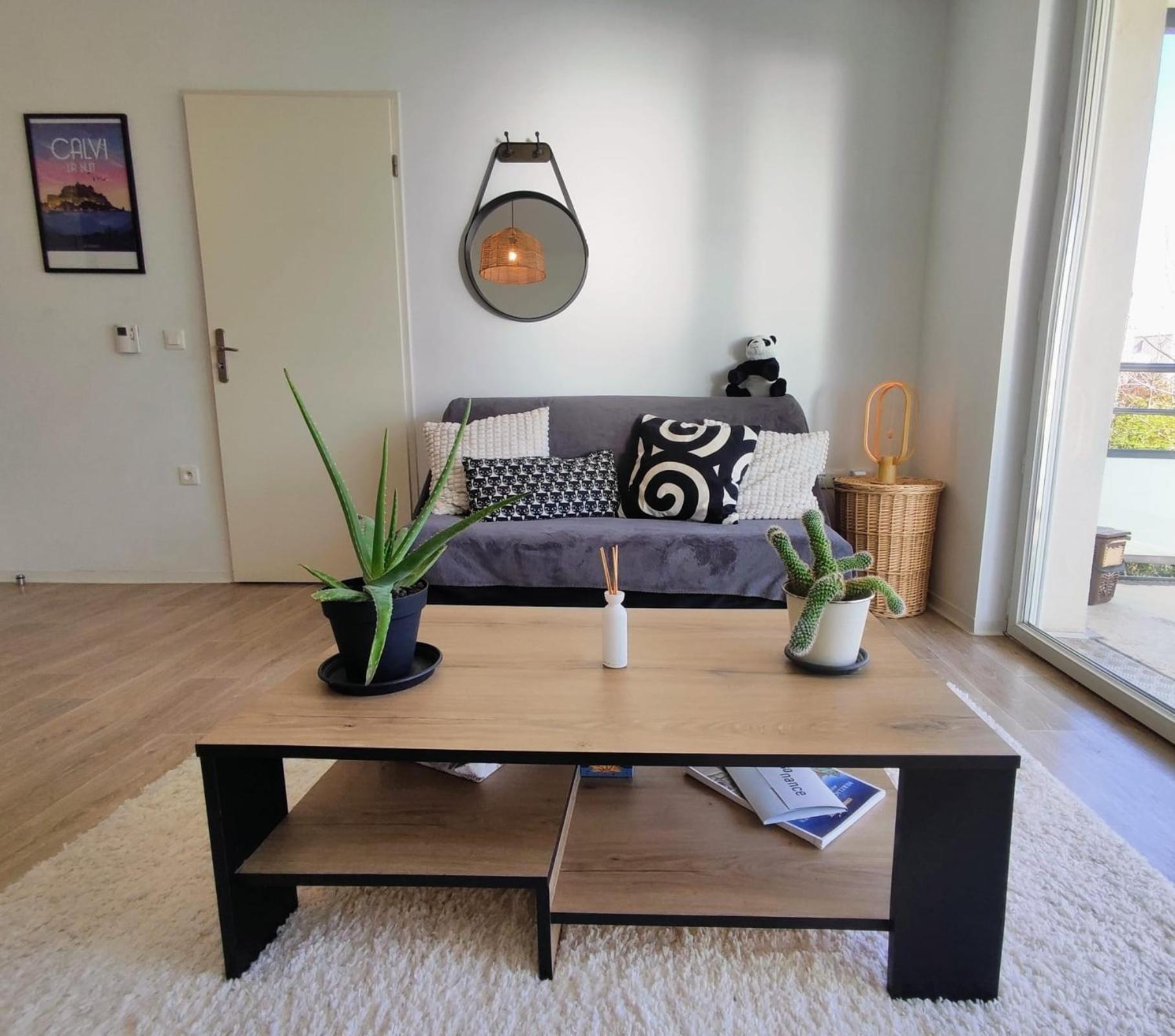 Le Salluste Cosy T2 With Balcony In * Strasbourg