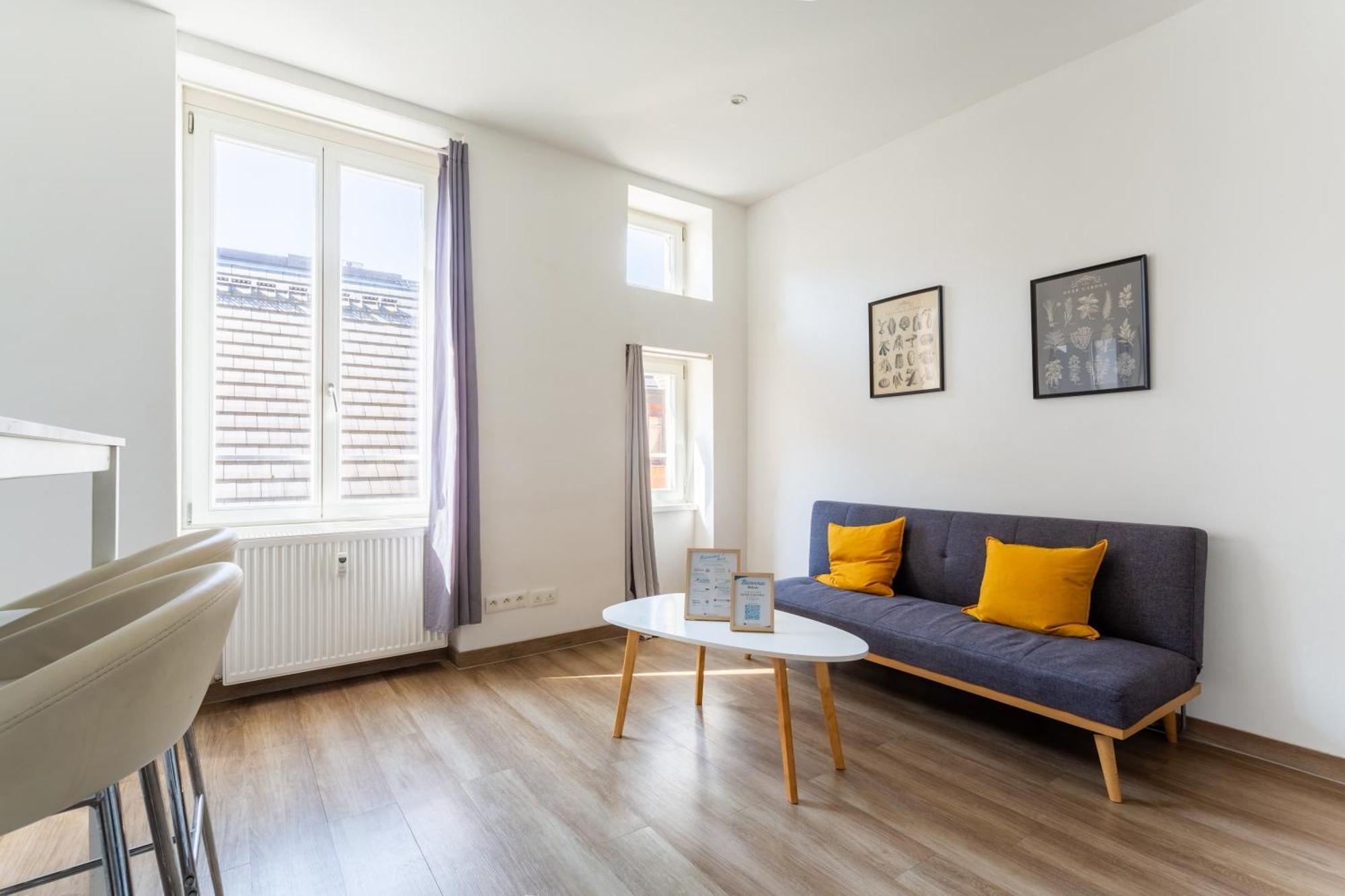 Apartament Thiergarten - T2 A Proximite De La Gare