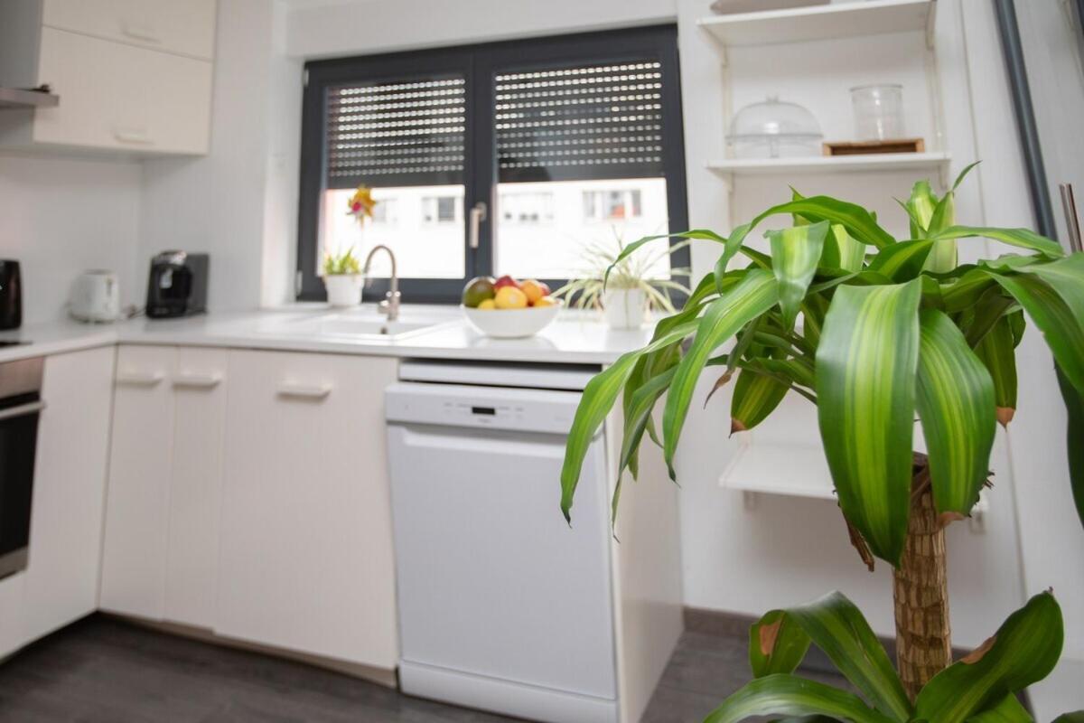 Apartament Moderne Au Centre Strasburg