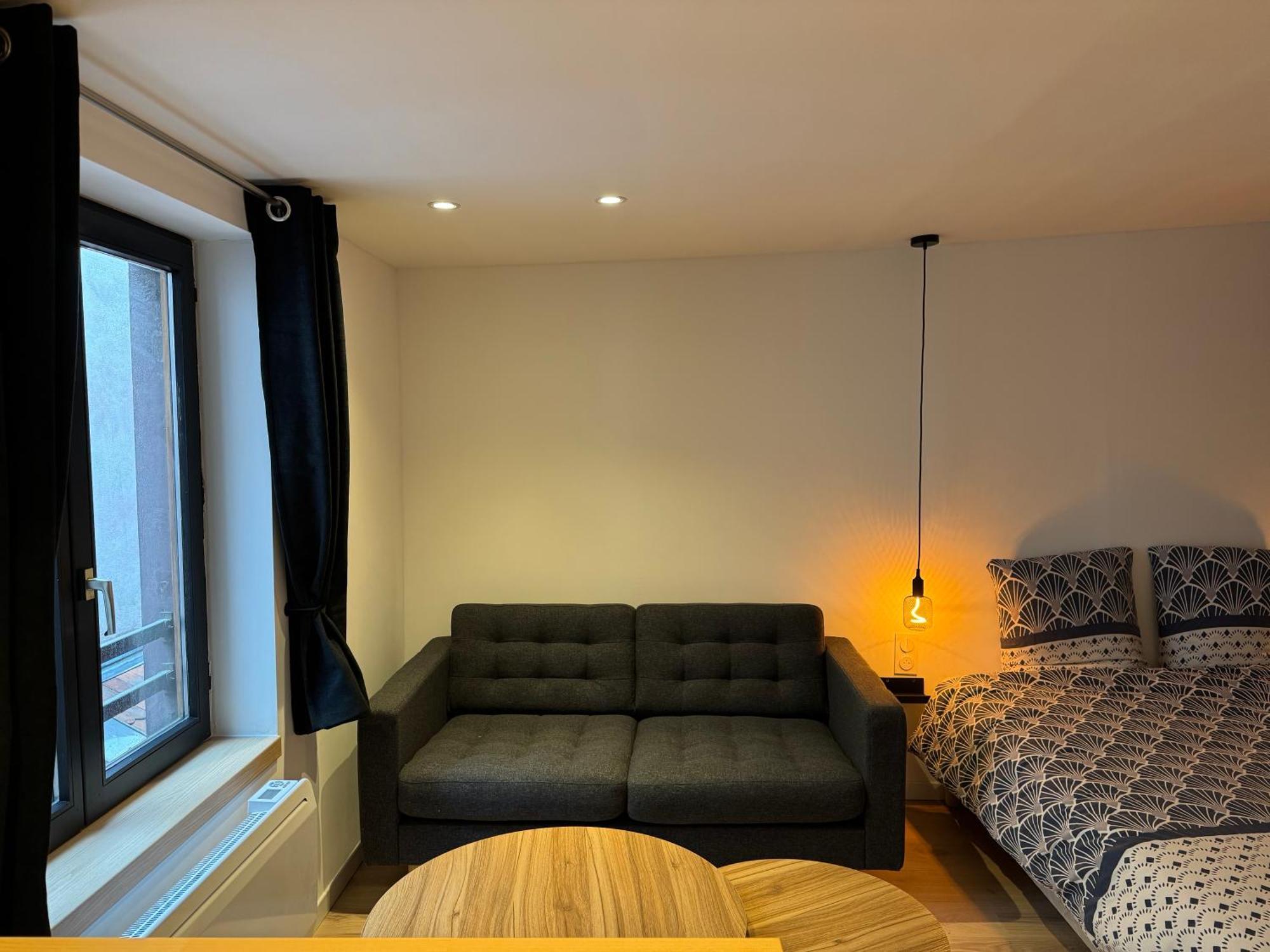 Apartment Grand Studio - Au Faubourg - Centre *