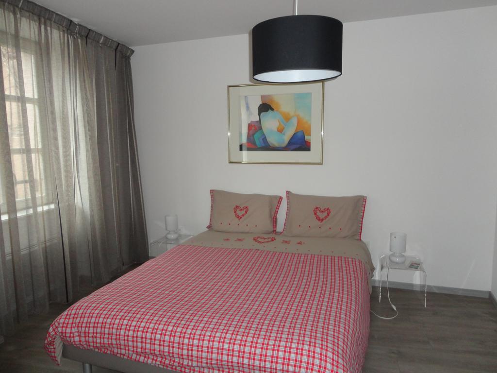A L'ill - & Hyper Centre Apartment Strasbourg