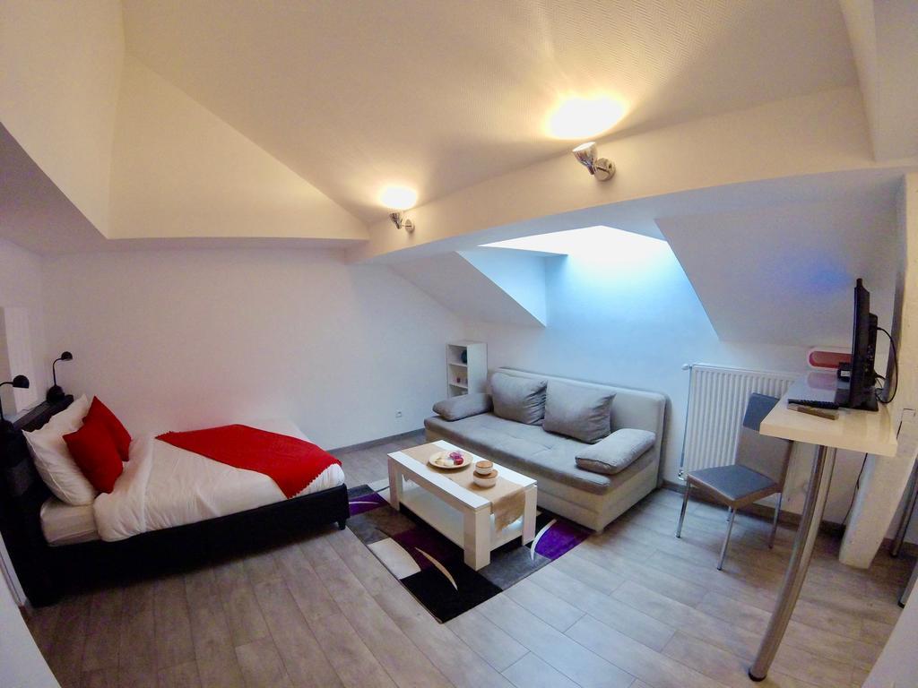 La Mesange Apartment Strasbourg
