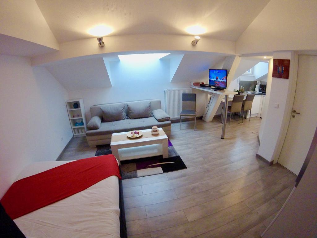 Apartment La Mesange Strasbourg