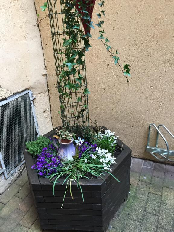 La Cour Des Cordonniers, Centre Cathedrale Petite France Apartment Strasbourg