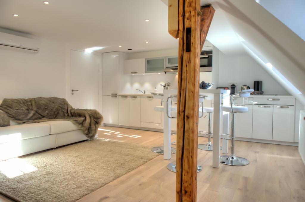 Apartment Le Dome - Quartier Cathedrale Strasbourg