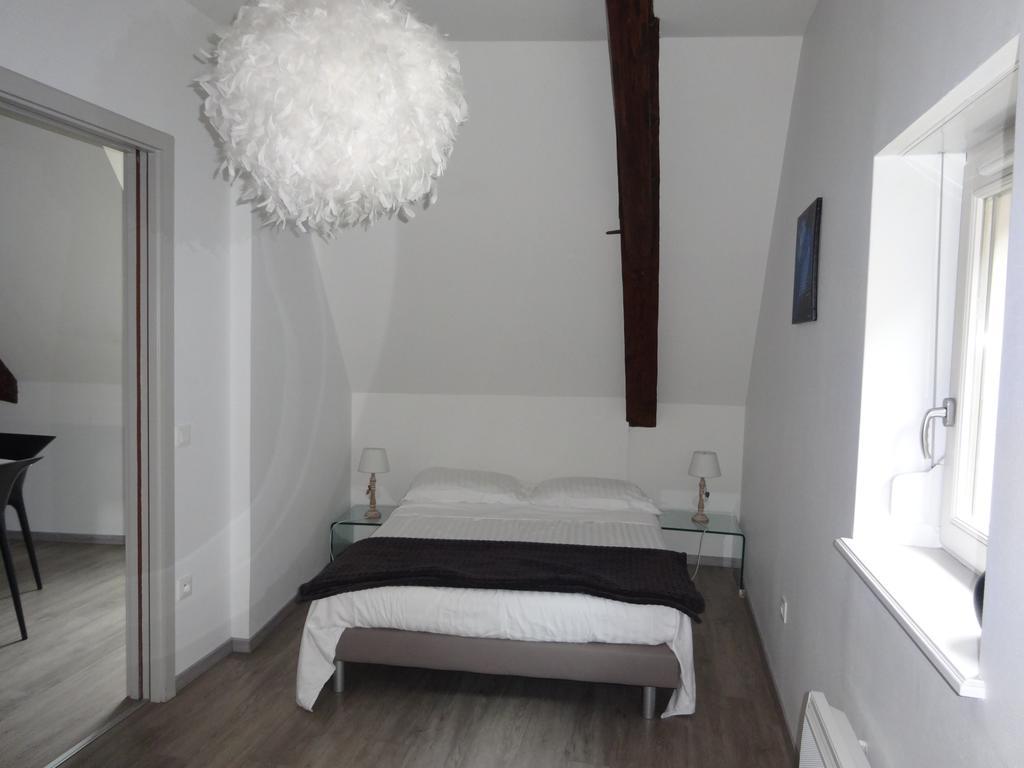 Apartment A L'ill - & Hyper Centre Strasbourg