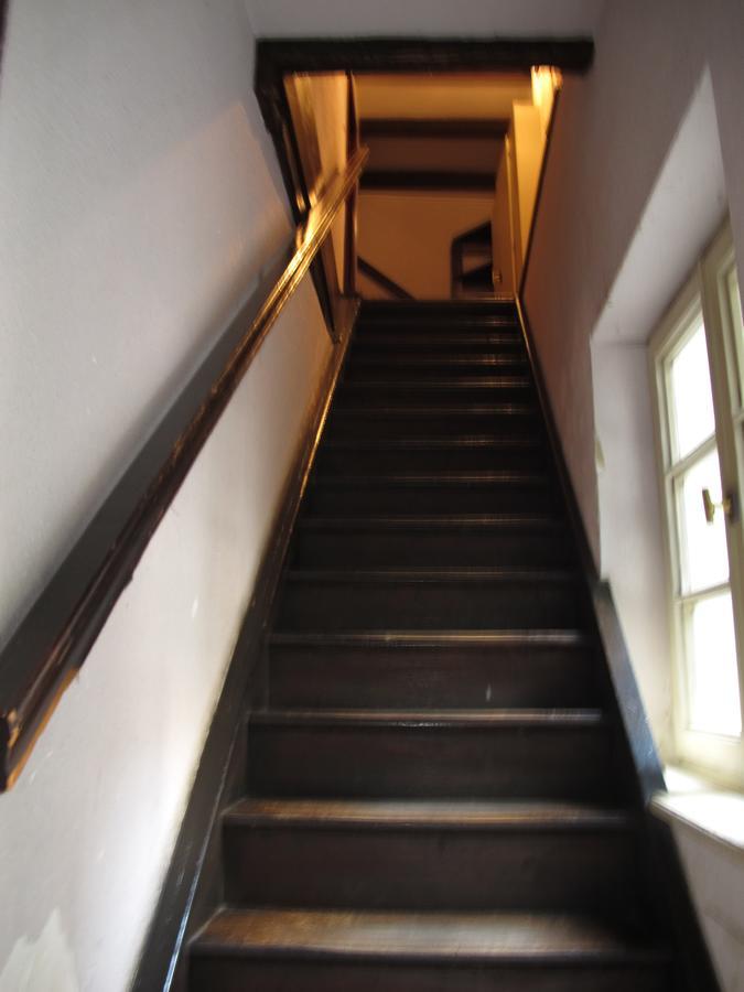 Citycosy - Authentique Batelier Strasbourg