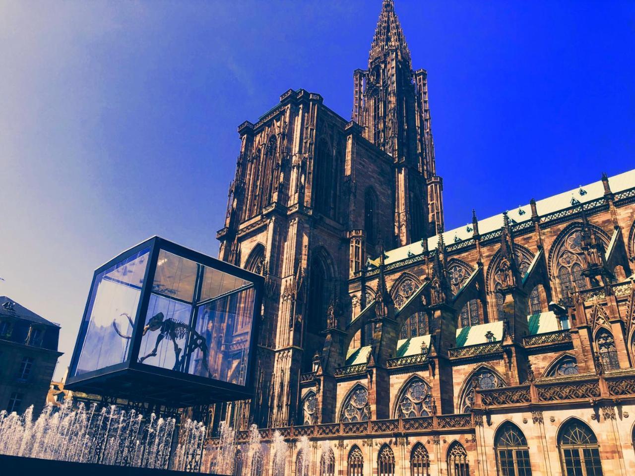 Unik's & Terraza Appartement Strasbourg